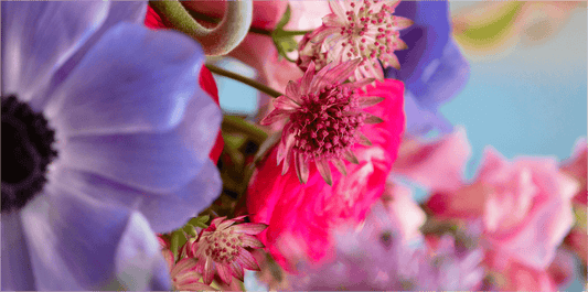 A Slower, Lower-Waste Summer: 7 Rituals to Savor the Season More Sustainably