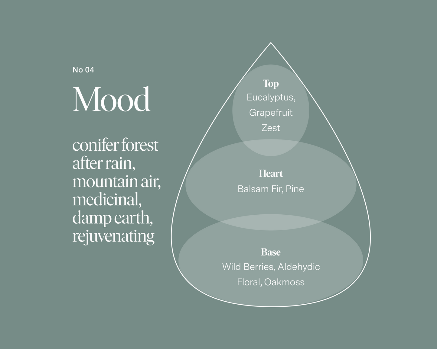 No 04 — Eucalyptus, Balsam, Wild Berries (Retail)