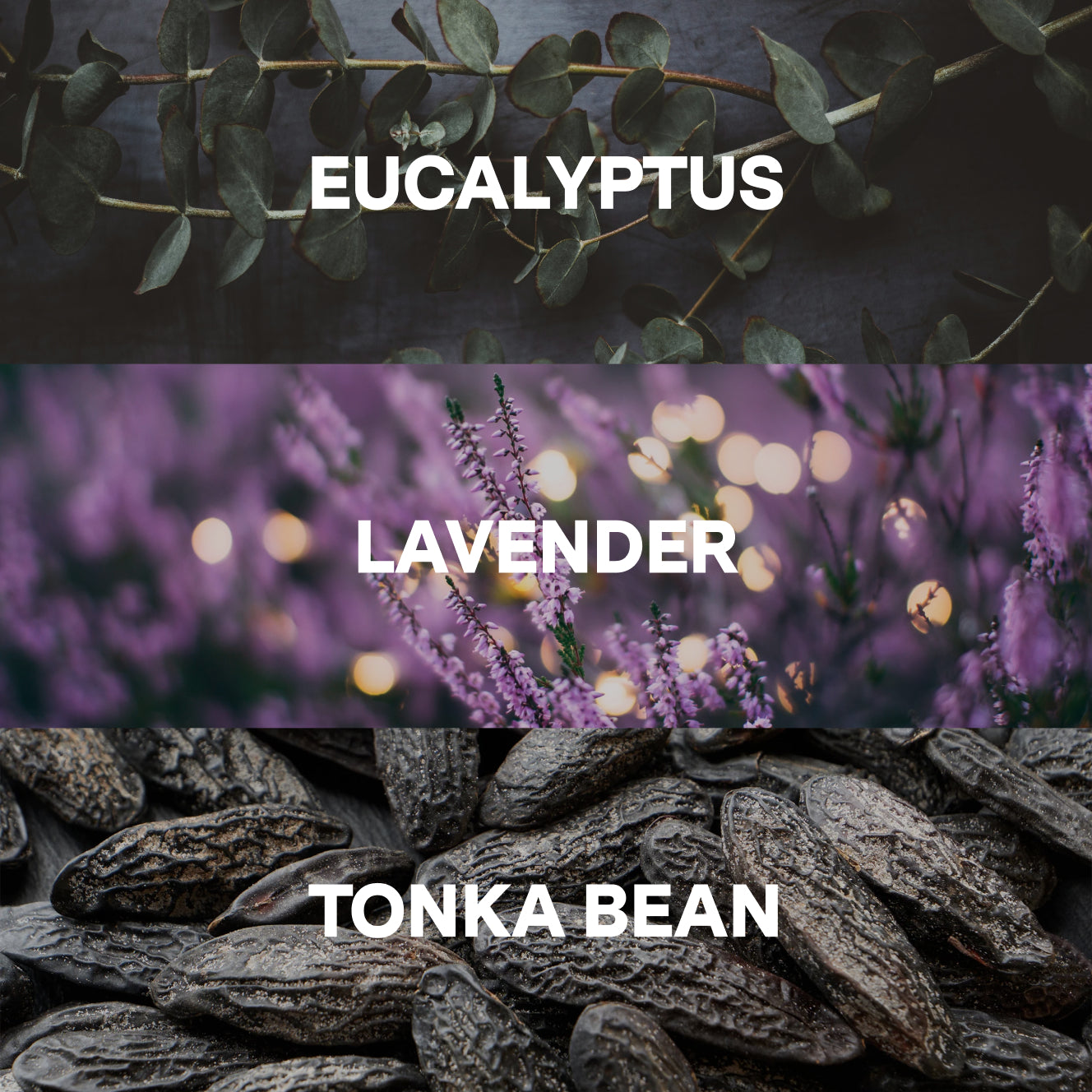 Relaxing Scent Duo