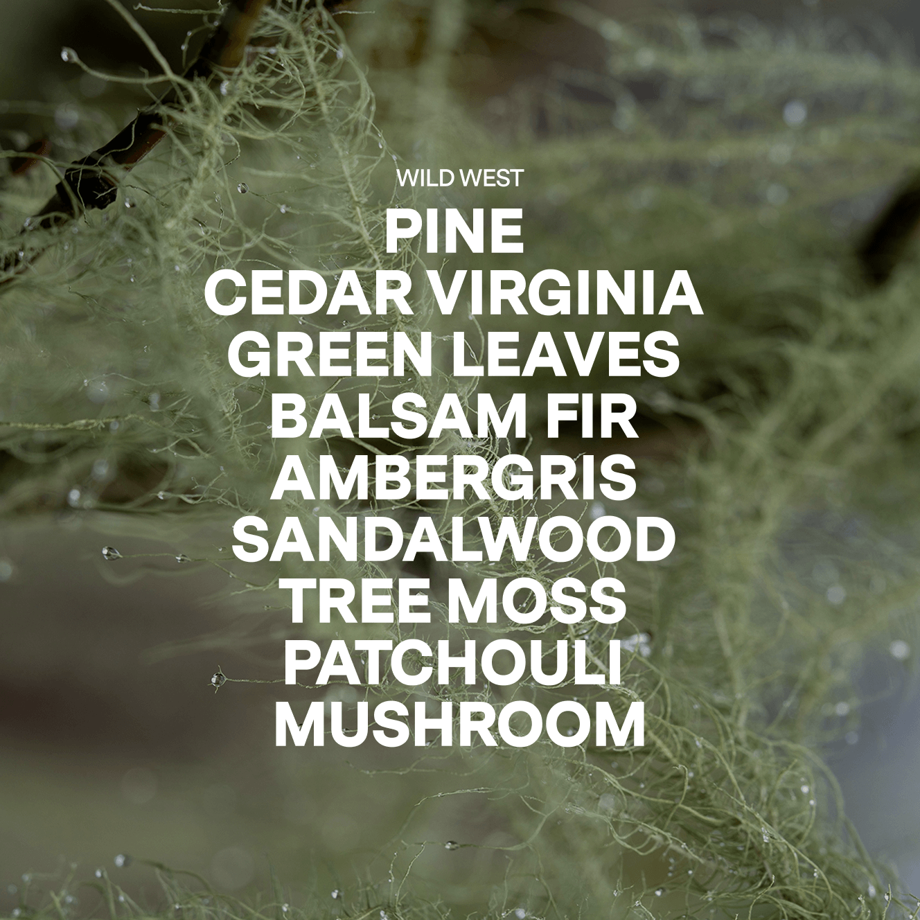 Wild West — Pine, Sandalwood, Mushroom