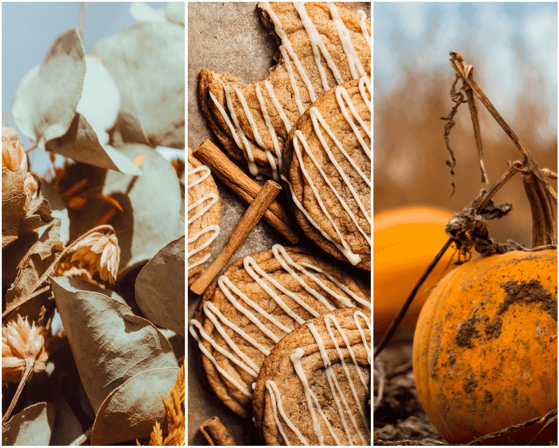 The Fall Pack