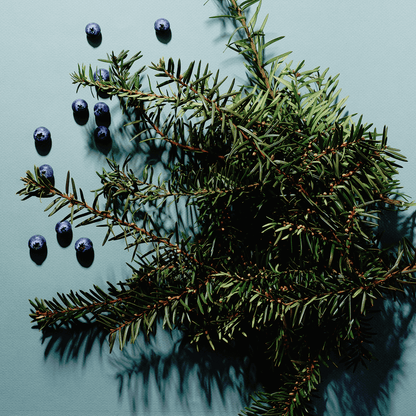 No 04 — Eucalyptus, Balsam, Wild Berries