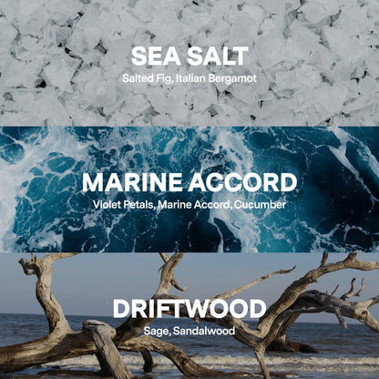 Beach Daze — Sea Salt, Marine Accord, Driftwood