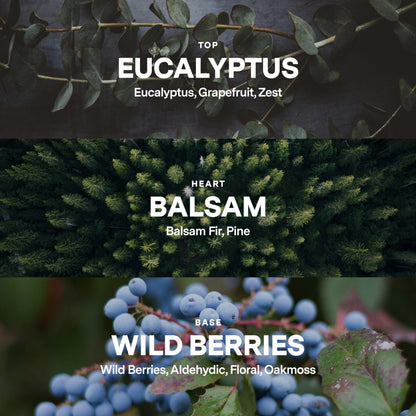 No 04 — Eucalyptus, Balsam, Wild Berries