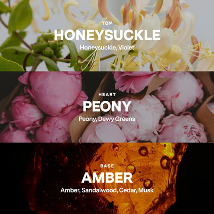 No 08 — Honeysuckle, Peony, Amber