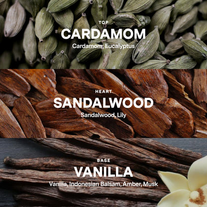 No 06 — Cardamom, Sandalwood, Vanilla