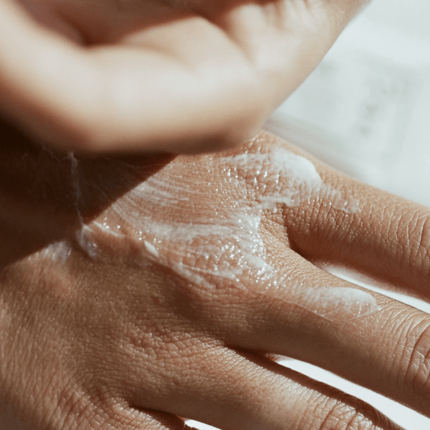 Royal Family Holiday Gift