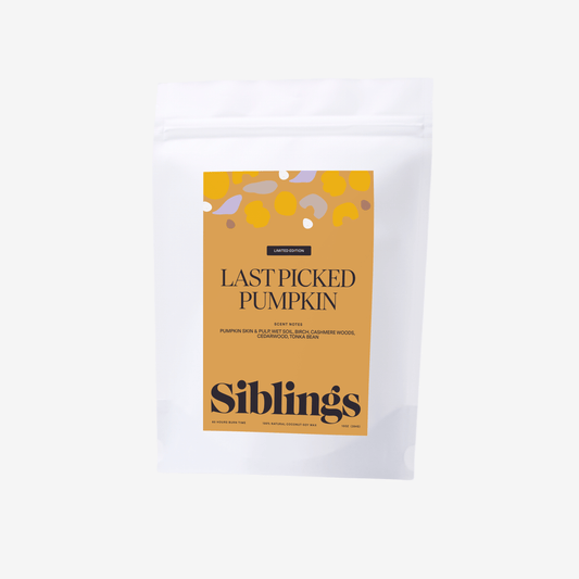 Last Picked Pumpkin candle refill bag with eco-friendly packaging, featuring a warm autumn scent.