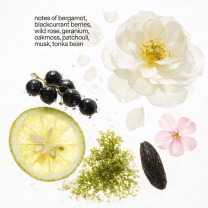 No. 01 Forever Candle