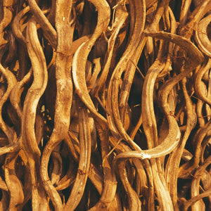 No. 06 Sandalwood