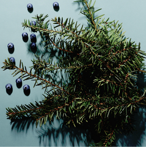 No. 04 Balsam