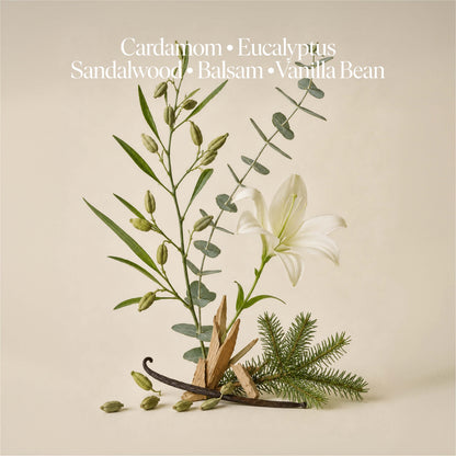 Forest Bathing Set