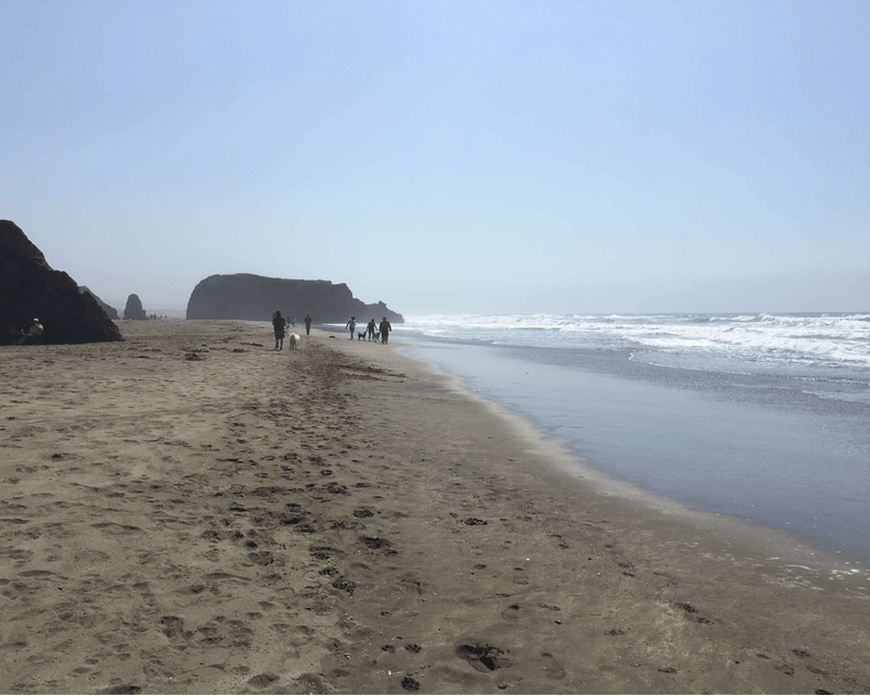 Beach Daze — Sea Salt, Marine Accord, Driftwood